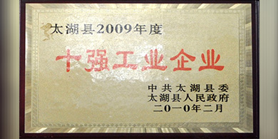 十強工業(yè)企業(yè)
